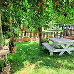 Aparthotel Garden House Katerina 4*