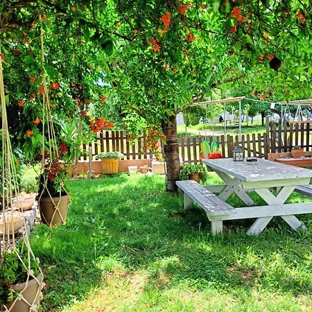 Appart hôtel Garden House Katerina 4*