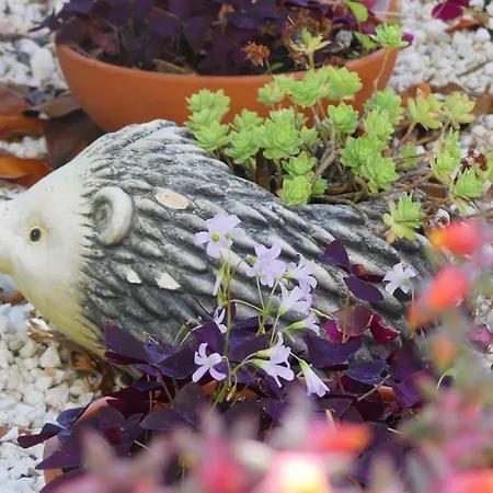 Garden House Katerina Ξενοδοχείο με διαμερίσματα Λεπτοκαρυά